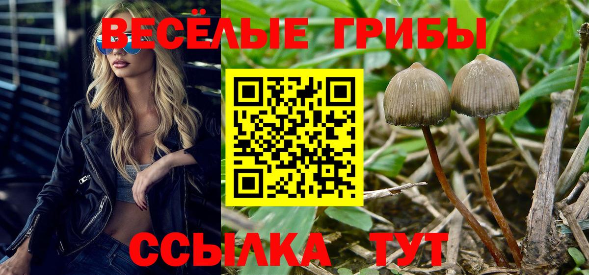 наркотики  Вход с VPN  Новочеркасск  Галлюциногенные грибы мицелий 