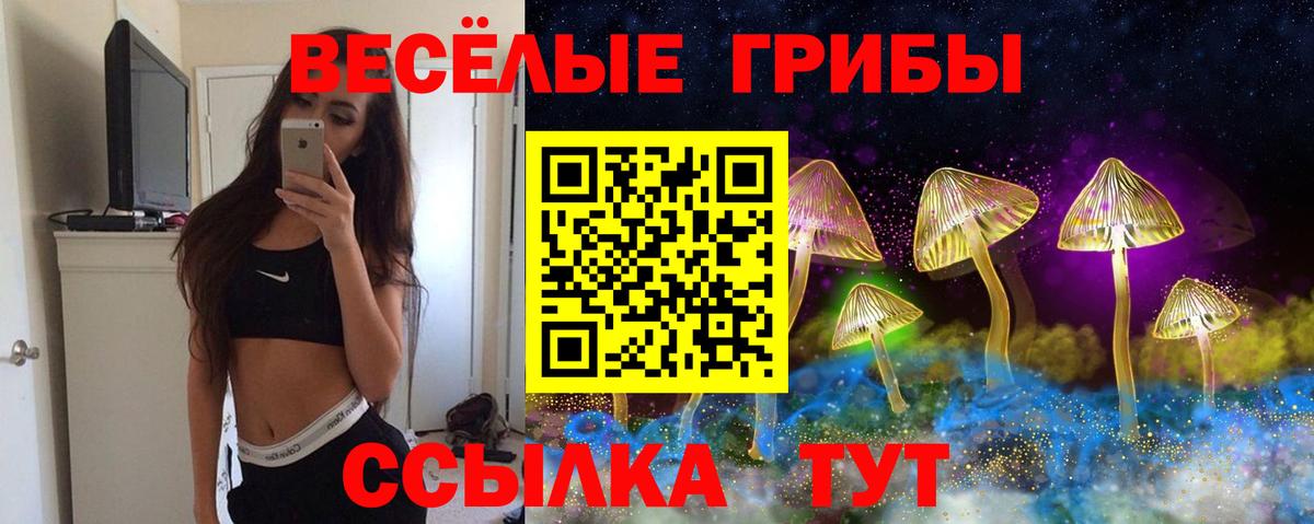 Галлюциногенные грибы мухоморы Новочеркасск